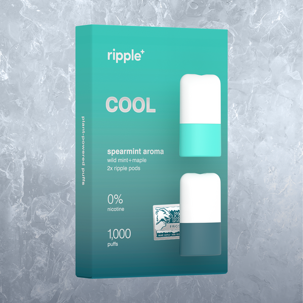 wasserdampf vape ohne nikotin RandM Tornado Vape 35000 Cool Mint bei uns erhältlich – RandM Tornado Vapes main image 0